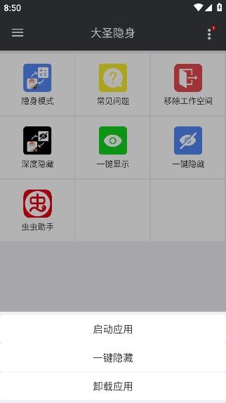 大圣隱身軟件