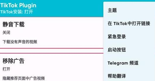 TikTok Plugin最新版