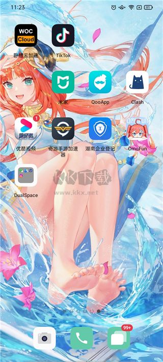 DualSpace Pro解鎖版