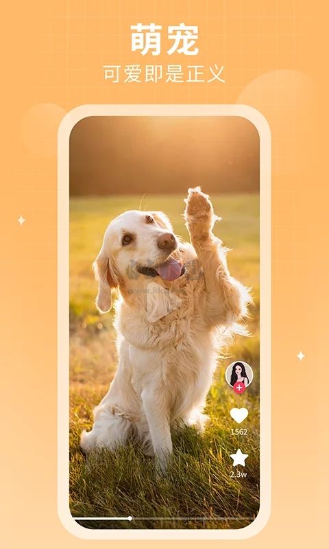 多多追劇app官方新版本