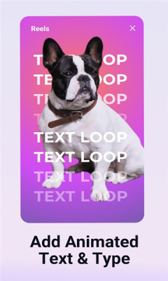 Pinreel應(yīng)用程序手機版