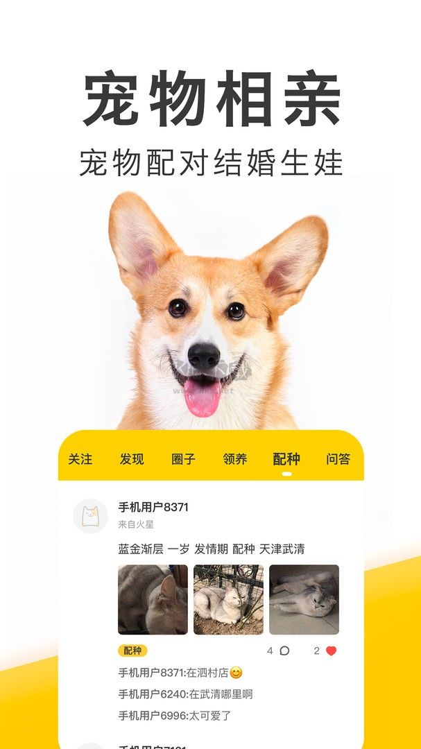 寵物App官方最新版本 v2.1.0