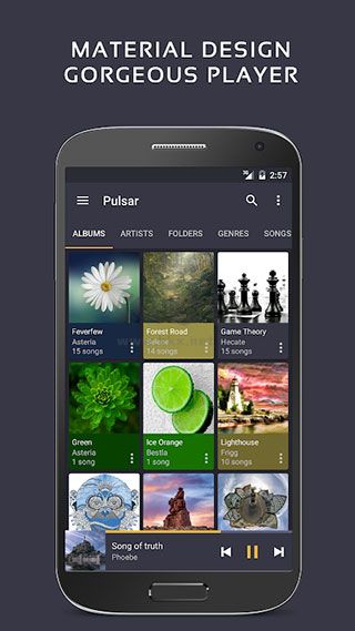 Pulsar音樂播放器專業(yè)版 v1.12.1