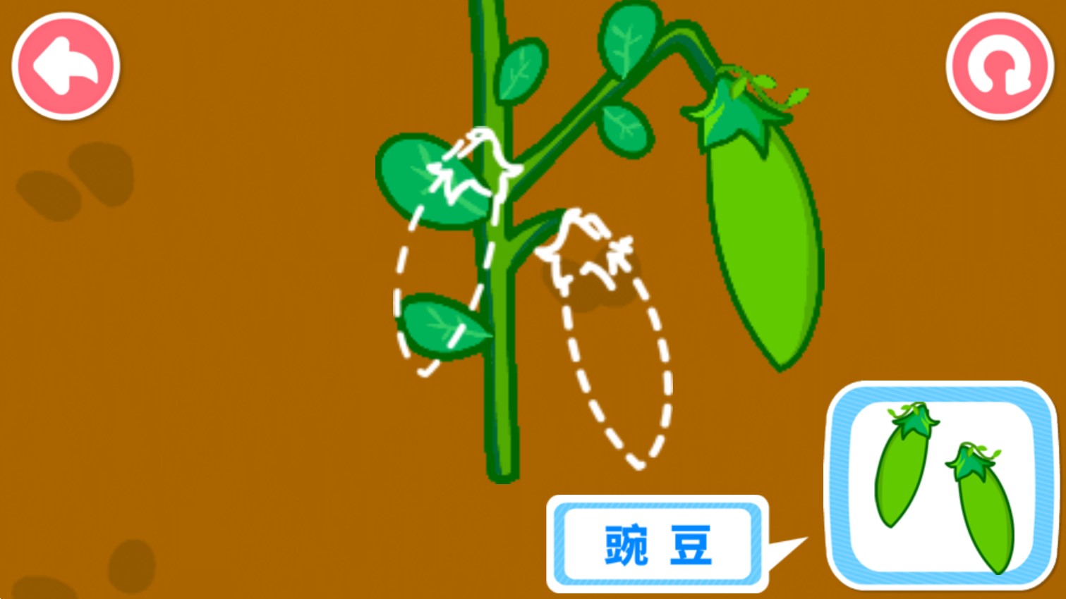 寶寶認(rèn)知全攻略官方版