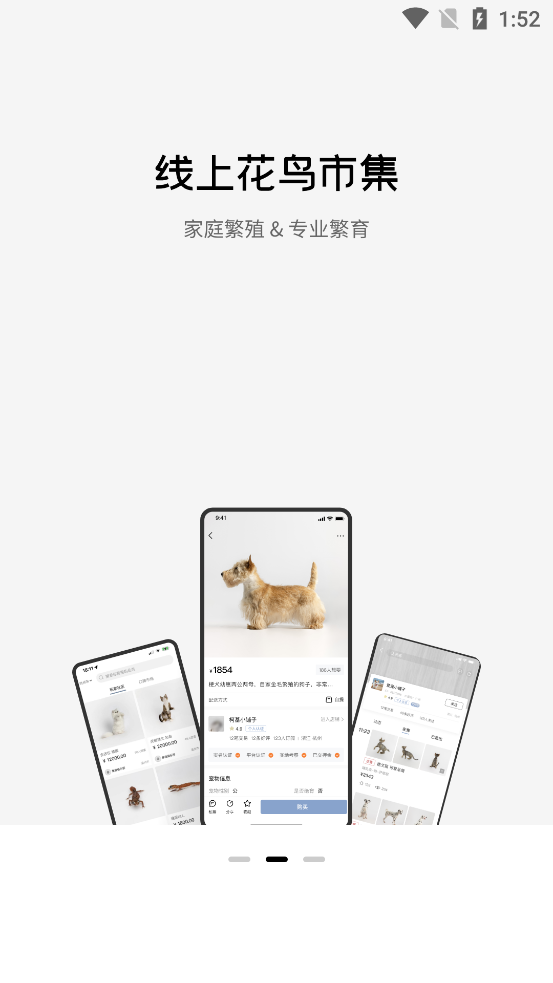 集寵區(qū)官方應用程序