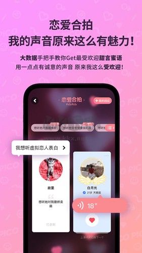 PicoPico官網(wǎng)最新版 v2.6.2.5（2023）