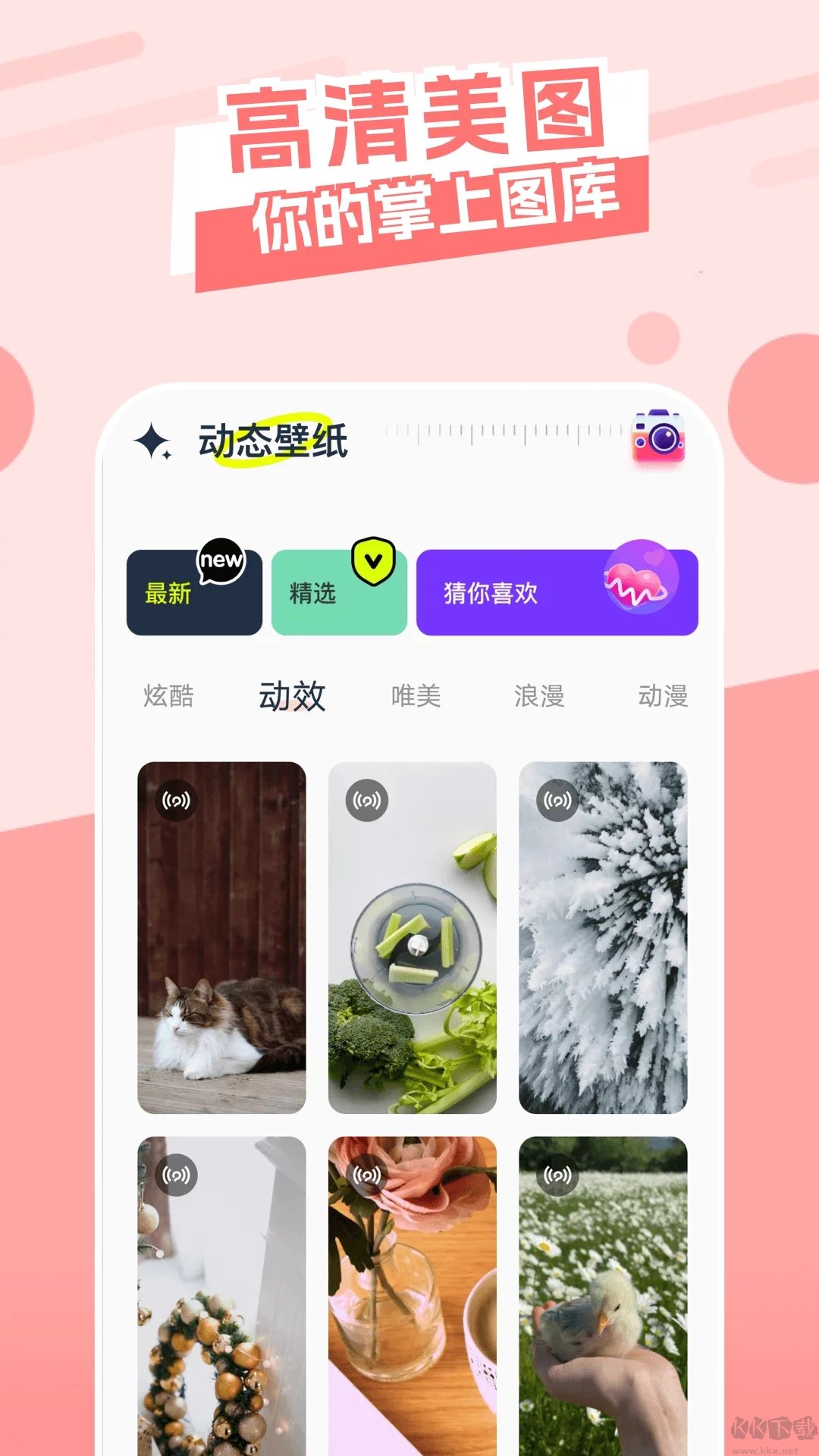 主題庫(kù)(免費(fèi))app修改破解版2023最新
