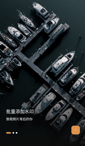 徠卡水印大師破解版