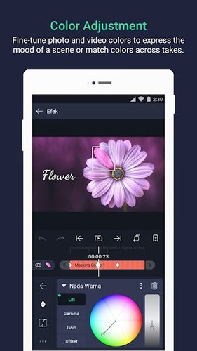 Alight Motion 中文版破解 v5.0.196.1000570