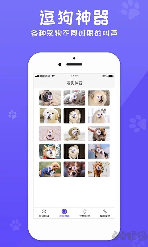 免費(fèi)版狗語翻譯器 v1.0.3