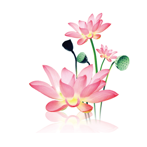 水墨工具箱 V1.0.8 破解版本