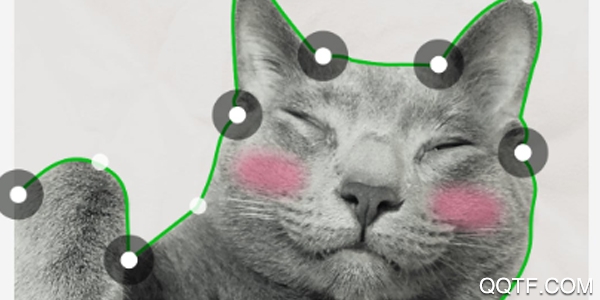 LINE Camera