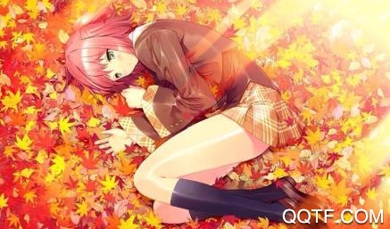 柚次元app最新版