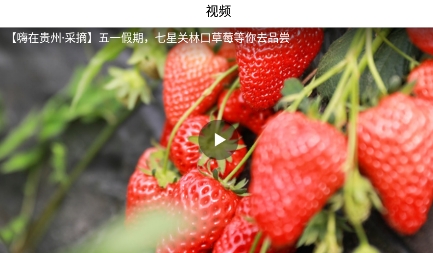 七星關(guān)區(qū)融媒app最新版