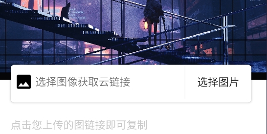 小貓咪圖床app官方版