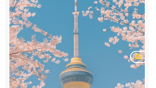 3D壁紙秀APP官方版