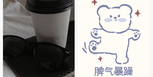 引擎桌面壁紙app官方版