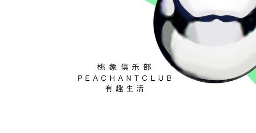 桃象app安卓版