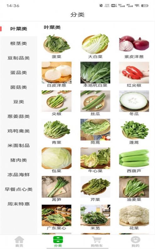 澧溪生活官方應(yīng)用