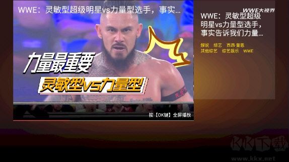 WWE大視界 TV版 v2.4.996