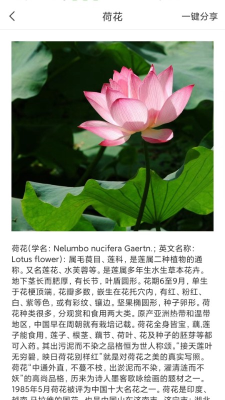全能拍照識(shí)物應(yīng)用官方版