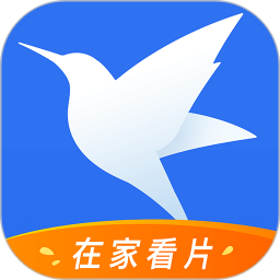 迅雷綠色版 v8.21.0