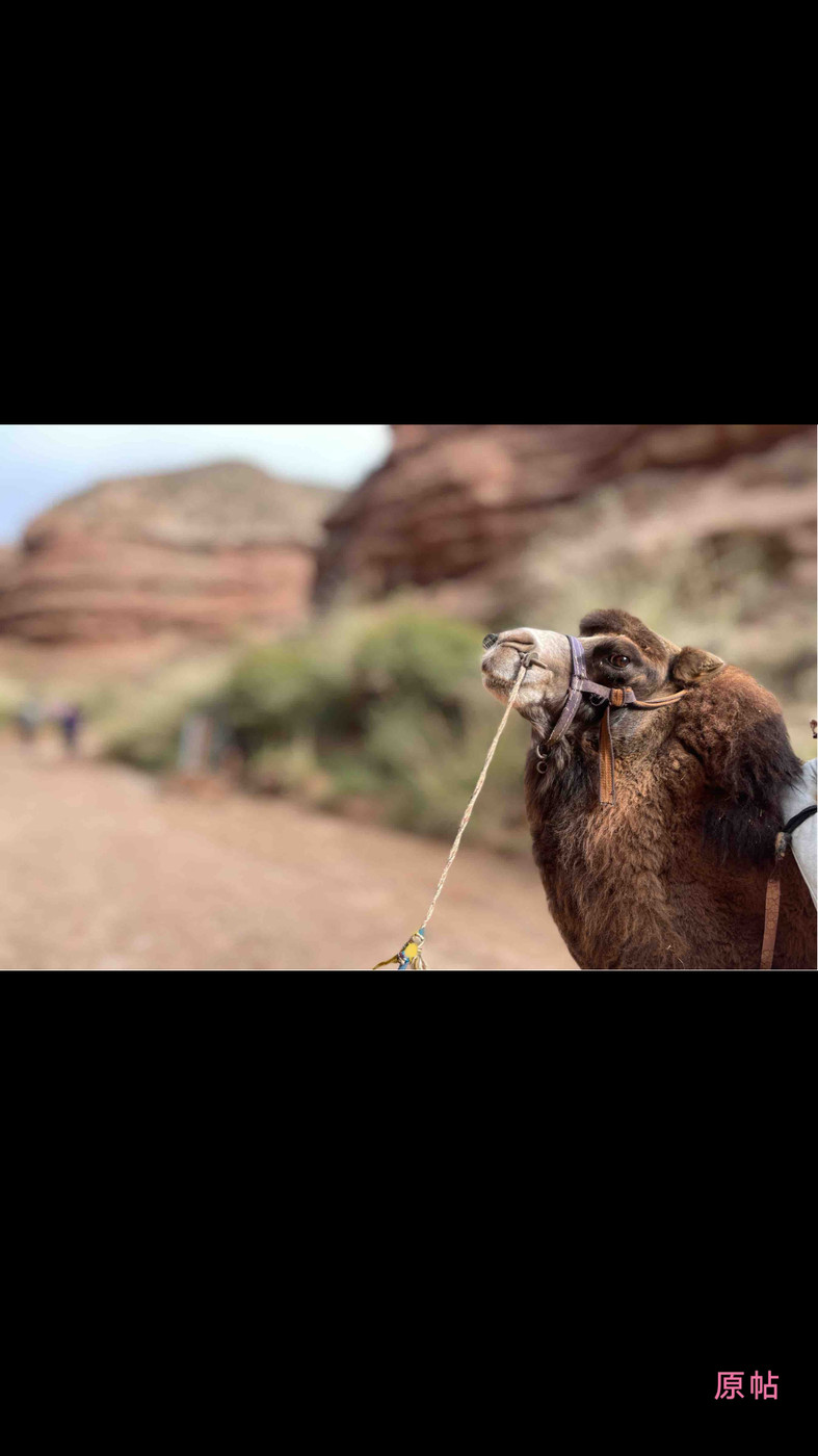 人間花絮APP正式版