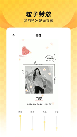 全局透明壁紙破解版 v8.3.6