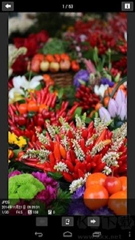 CameraConnect 3.2.1 中文版
