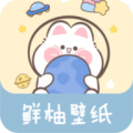 高清版鮮柚壁紙 app v6.3.0