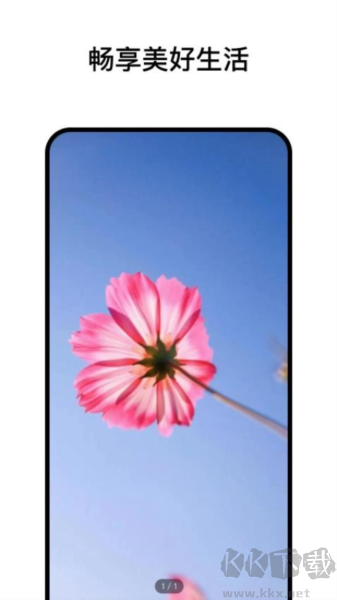 閱小花官方版 v1.1.0 安卓下載