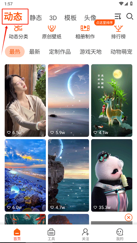 壁紙精靈 HD 版 v6.5.5