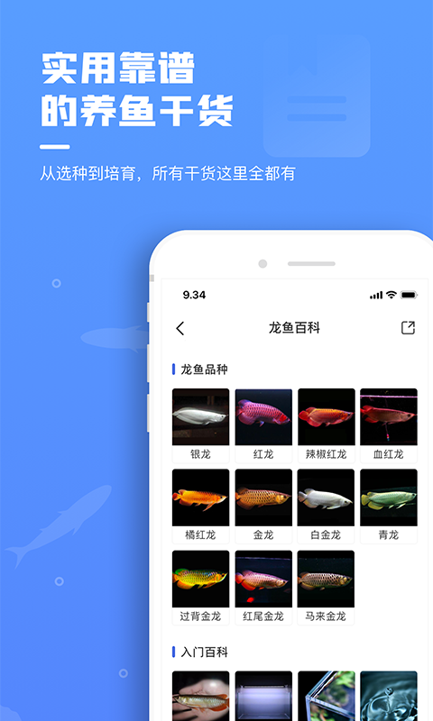 鯤天下最新版本app下載