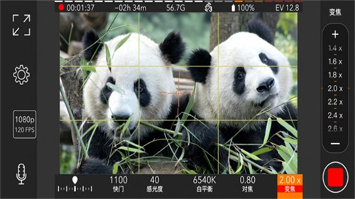 ProMovie高清版專業(yè)攝像機(jī)app v1.8.4