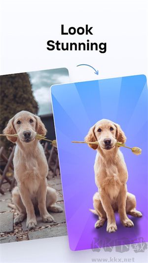 Photoroom免登錄版