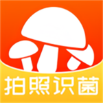 菌窩子app最新版本