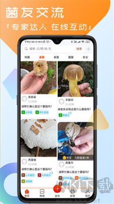 菌窩子app最新版本