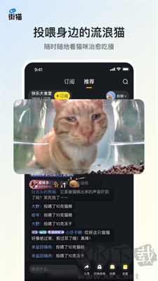 虛擬貓咪