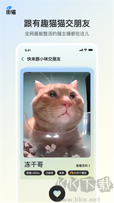 流浪貓收容所