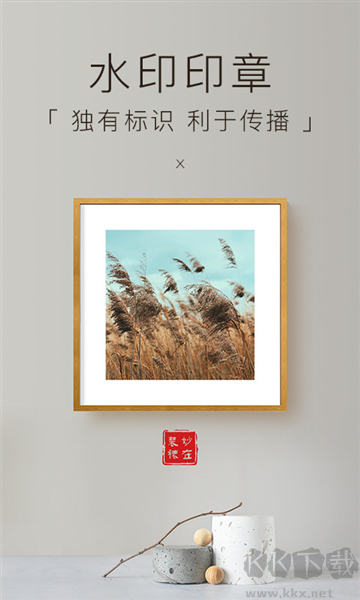 妙在裝裱高清免費(fèi)版
