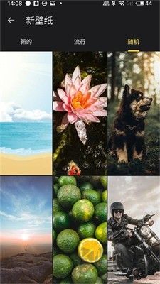 福來(lái)多壁紙app v1.0.1安卓版