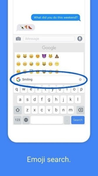 Google輸入法專業(yè)版 v13.3.0