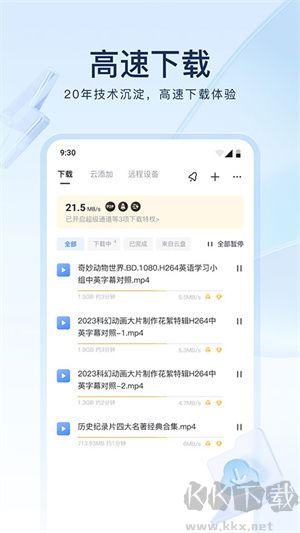 迅雷望雪定制版 v8.18.0綠色版
