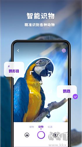 趣掃安卓官網(wǎng)版