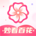 百花app安卓版精彩觀看