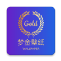 夢金壁紙新版本