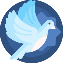 白鴿軟件庫安卓版