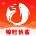 錦鯉優(yōu)省助手