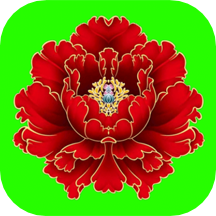 花卉綠植應(yīng)用