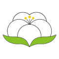 紗纖億官方版App